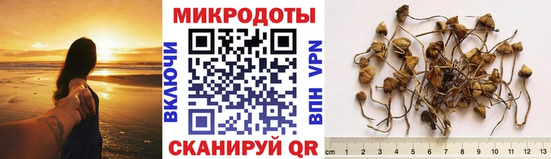 даркнет наркотические препараты  Протвино  Псилоцибиновые грибы ЛСД 